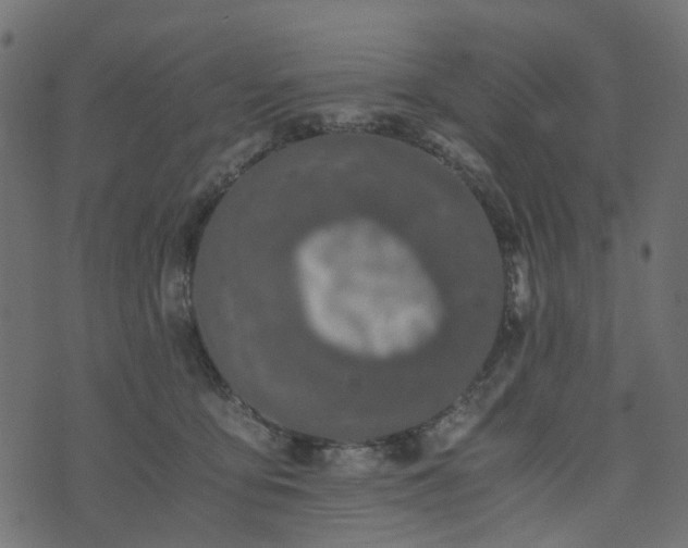 X0000073920419200608181054