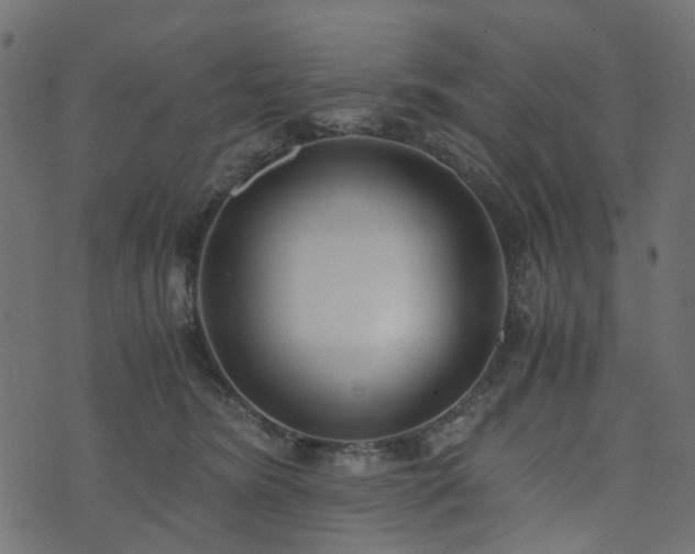 X0000073920420200608181054