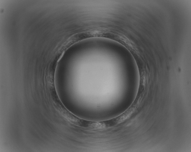 X0000073920421200608181054