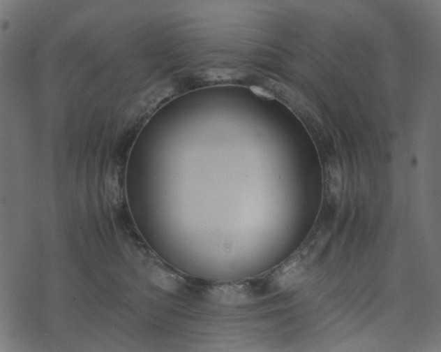 X0000073920422200608181054