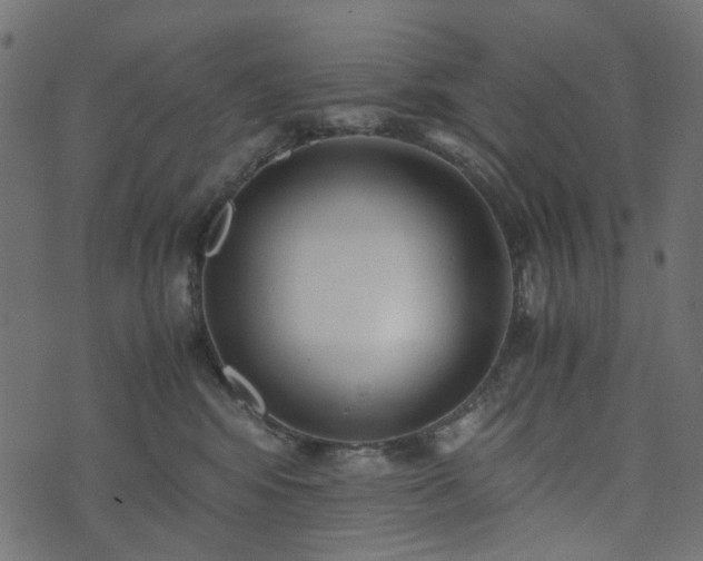 X0000073920424200608181054