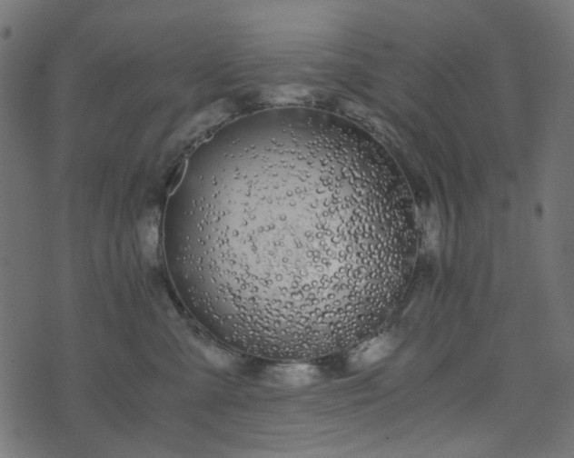 X0000073920427200608181054