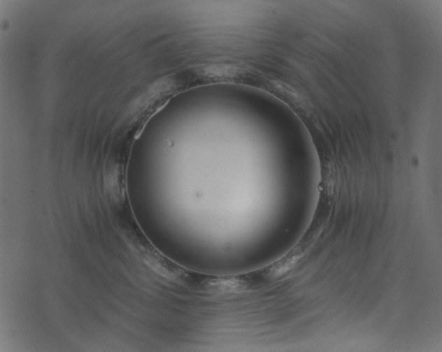 X0000073920428200608181054