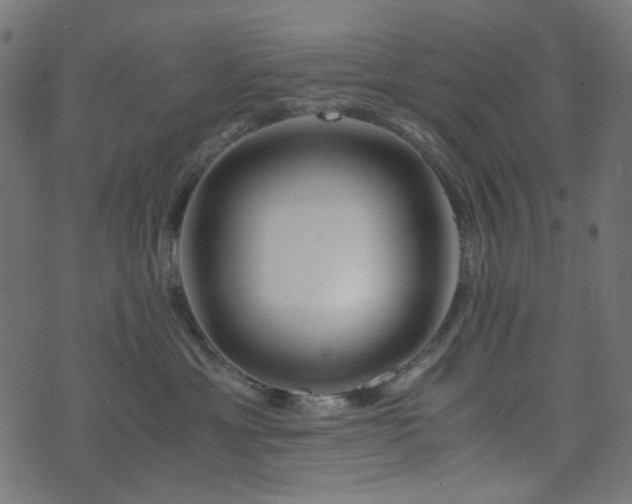 X0000073920429200608181054