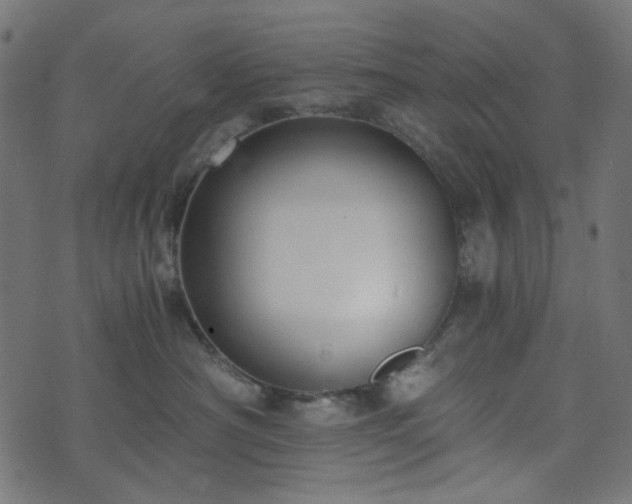 X0000073920430200608181054