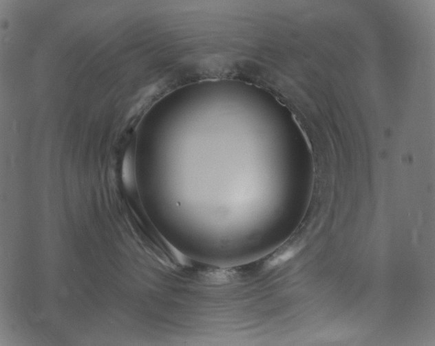 X0000073920432200608181054