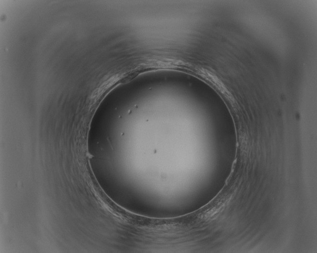 X0000073920433200608181053