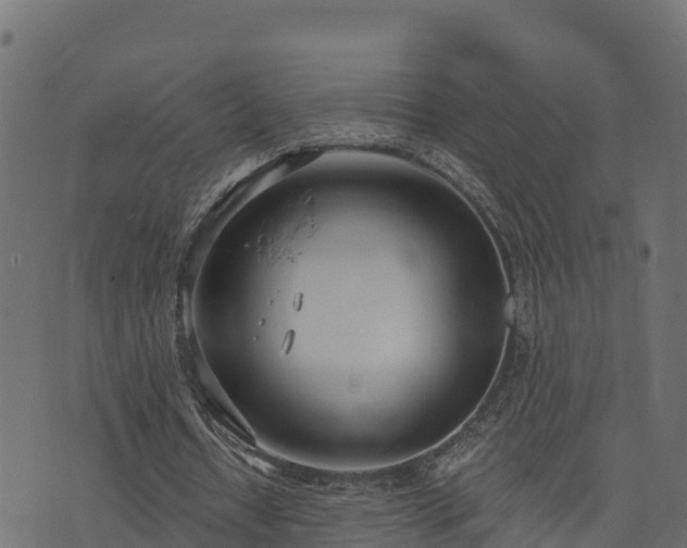 X0000073920434200608181053