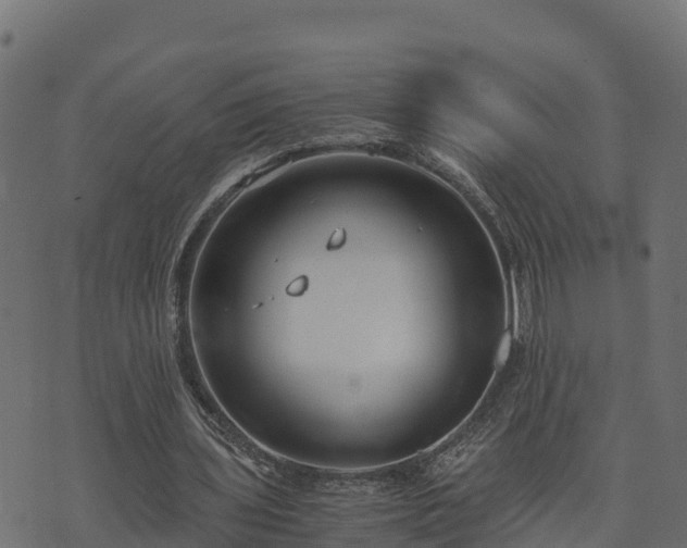 X0000073920435200608181053