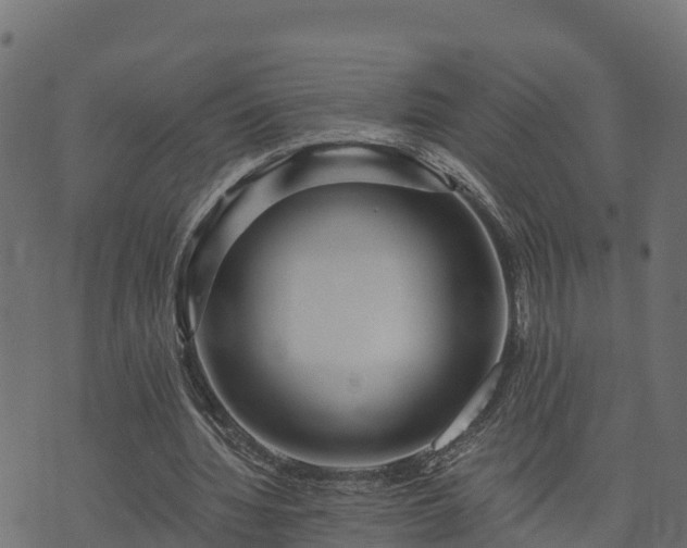 X0000073920436200608181053