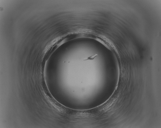 X0000073920437200608181053