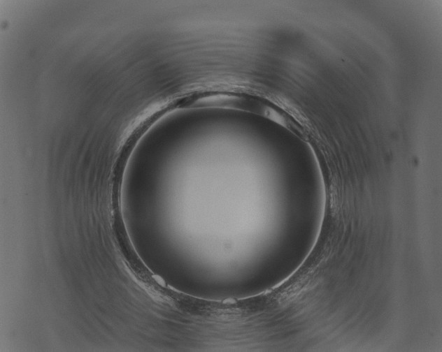 X0000073920438200608181053