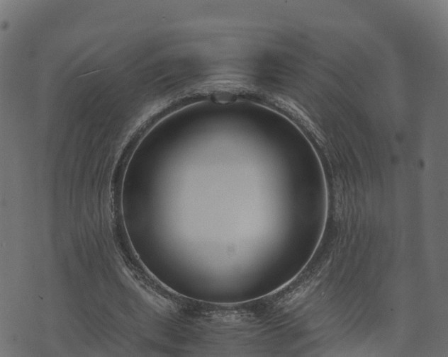 X0000073920439200608181053