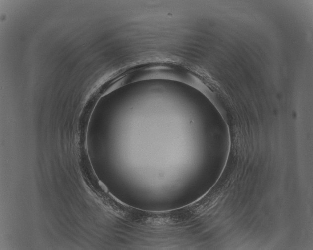 X0000073920440200608181053