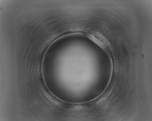 X0000073920441200608181053