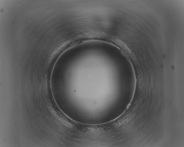 X0000073920442200608181053