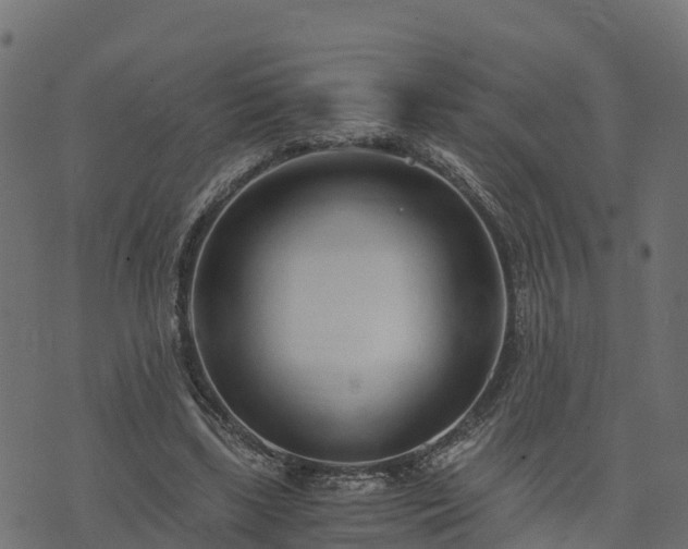 X0000073920443200608181053