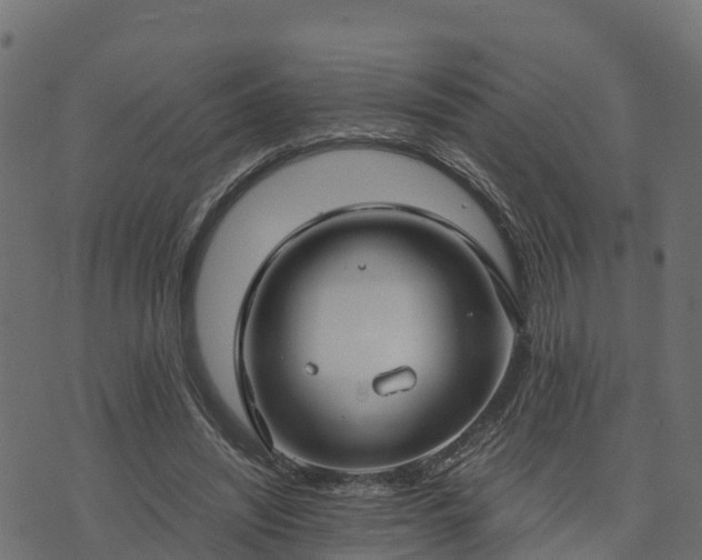 X0000073920444200608181053