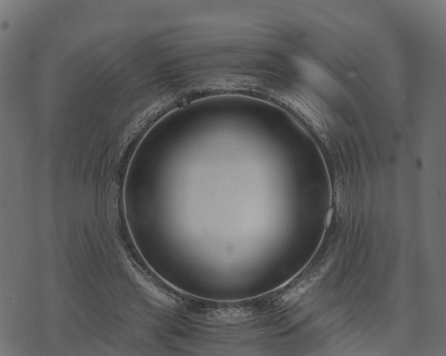 X0000073920445200608181053