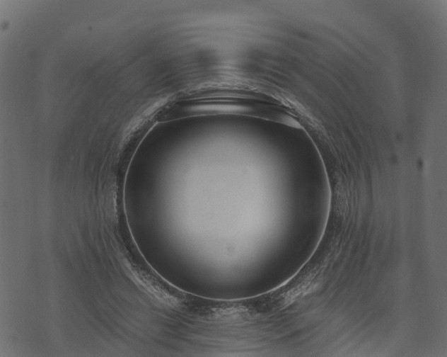 X0000073920446200608181053