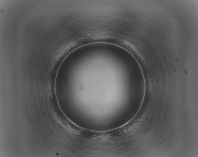 X0000073920447200608181053