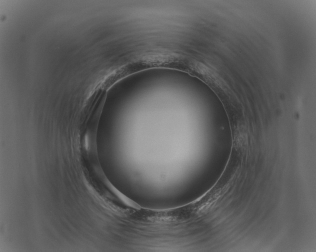 X0000073920448200608181053