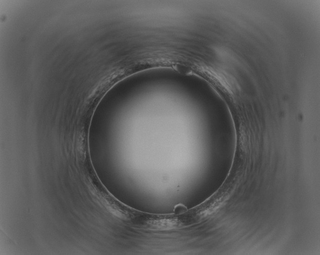 X0000073920449200608181053