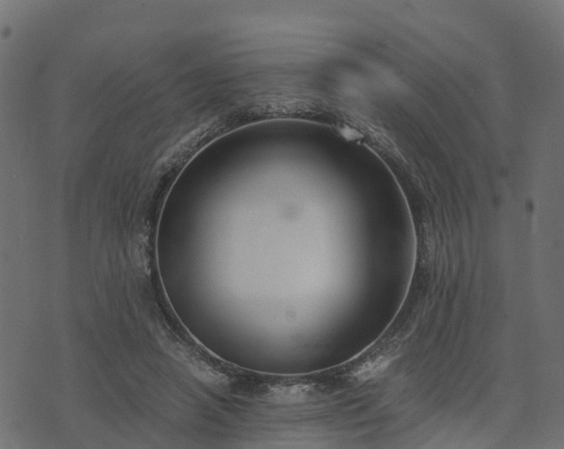 X0000073920450200608181053