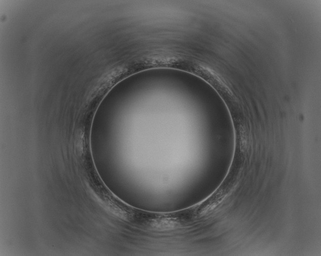 X0000073920451200608181053