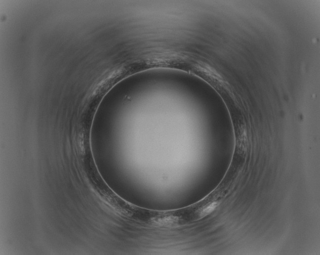 X0000073920452200608181053