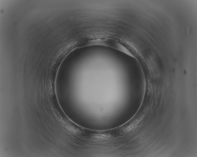 X0000073920453200608181053