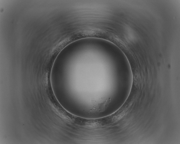 X0000073920454200608181053