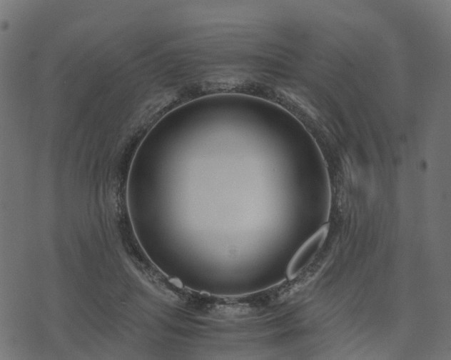 X0000073920455200608181053