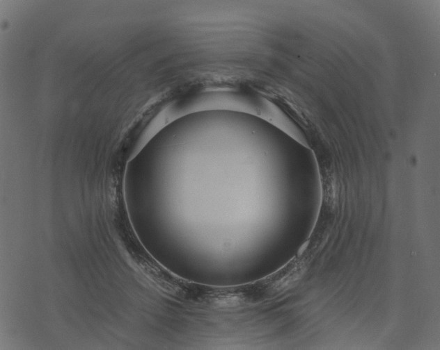 X0000073920456200608181053