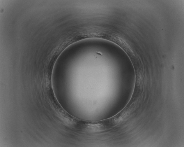 X0000073920457200608181053