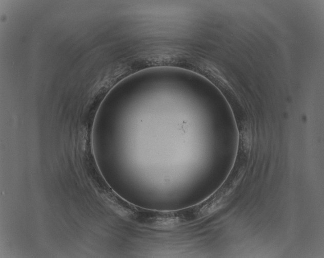 X0000073920458200608181053