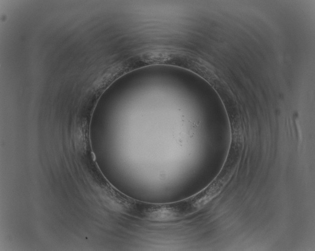 X0000073920460200608181053