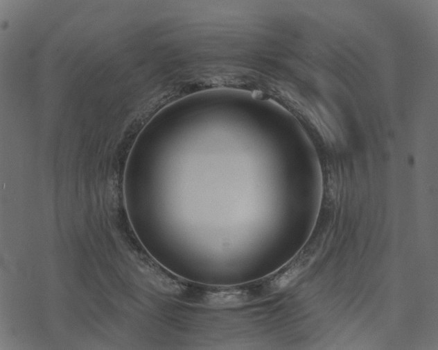 X0000073920461200608181053