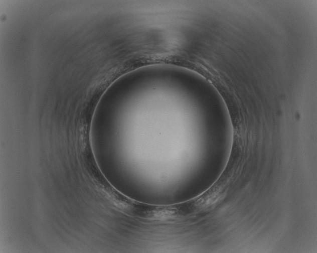 X0000073920462200608181053