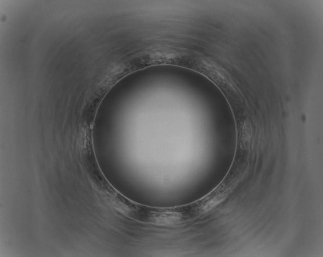 X0000073920463200608181053