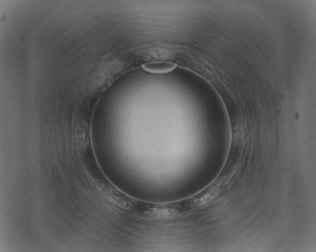 X0000073920464200608181053