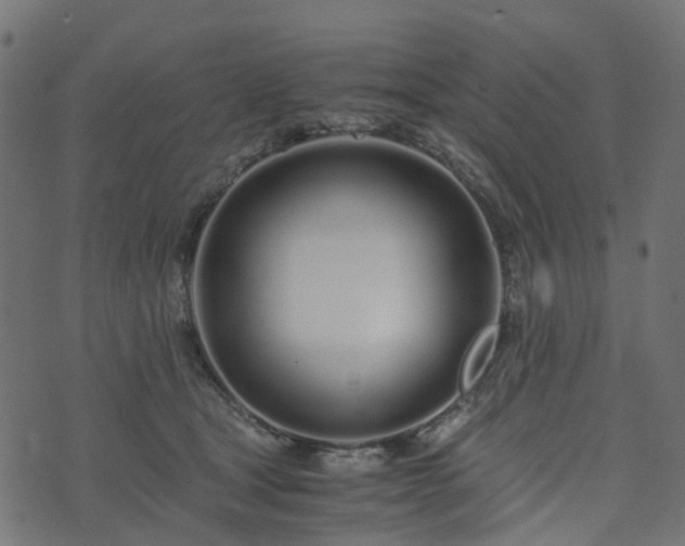 X0000073920465200608181053