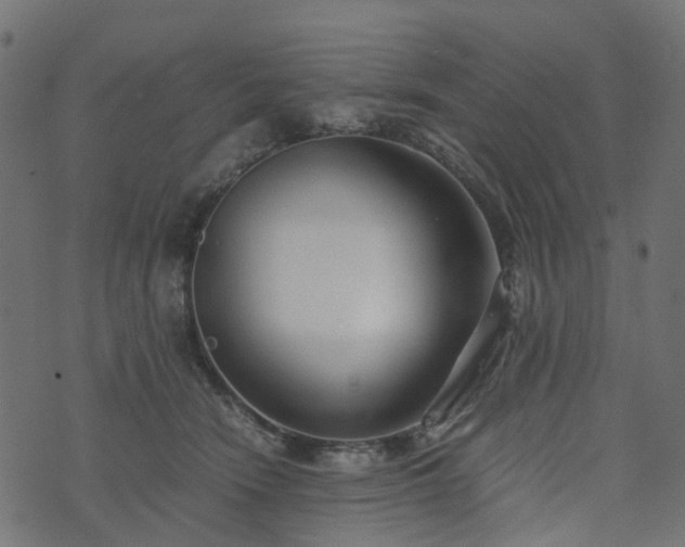 X0000073920466200608181053