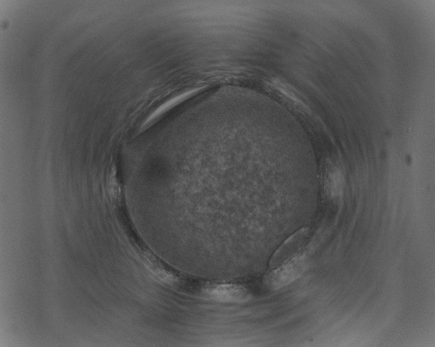 X0000073920467200608181053