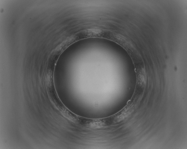 X0000073920468200608181053