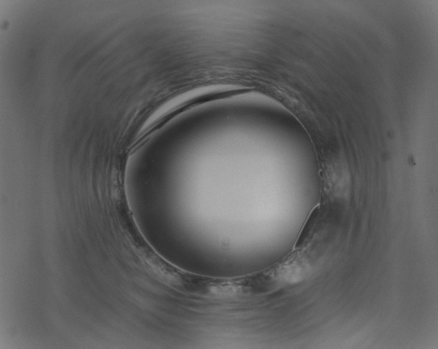 X0000073920470200608181053