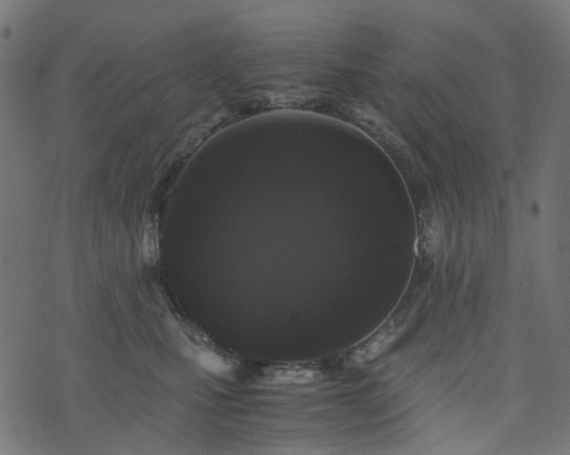 X0000073920471200608181053