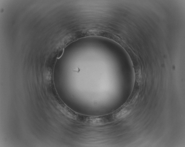 X0000073920472200608181054