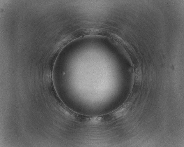 X0000073920474200608181054