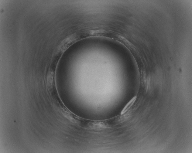 X0000073920475200608181054